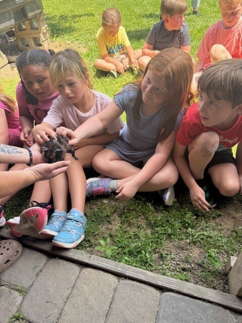 students pet a guinea pig.
