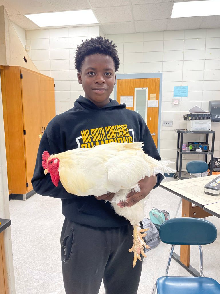 A student is holding a chicken