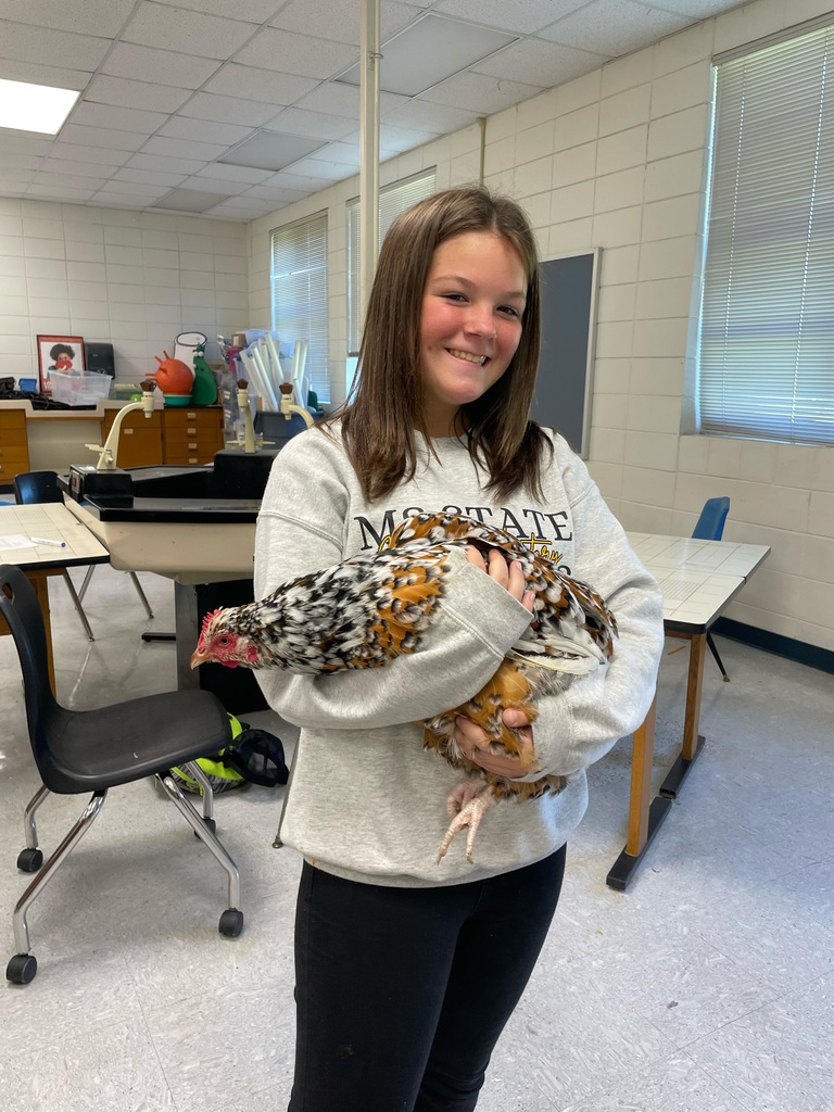 A student is holding a chicken