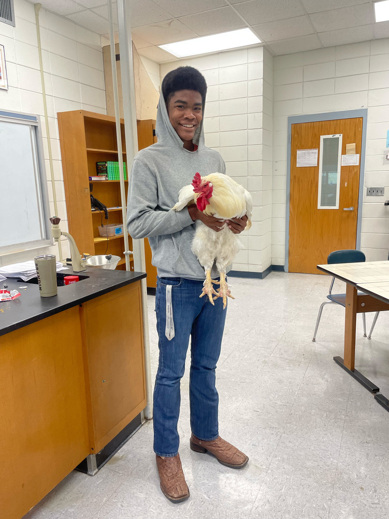 Student holding a chicken
