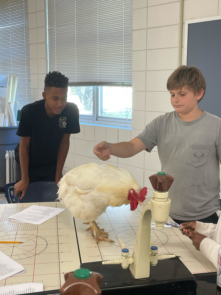 A student is holding a chicken