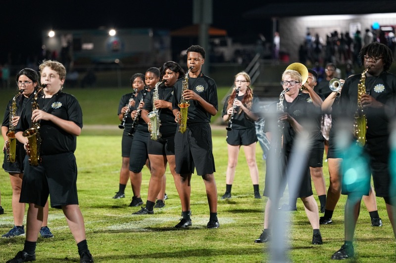 Marching band during a field show