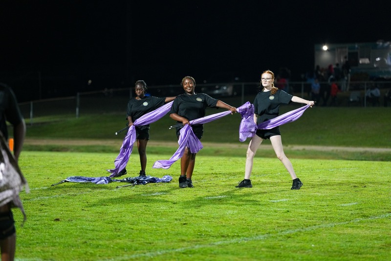 Color Guard during a field show. 
