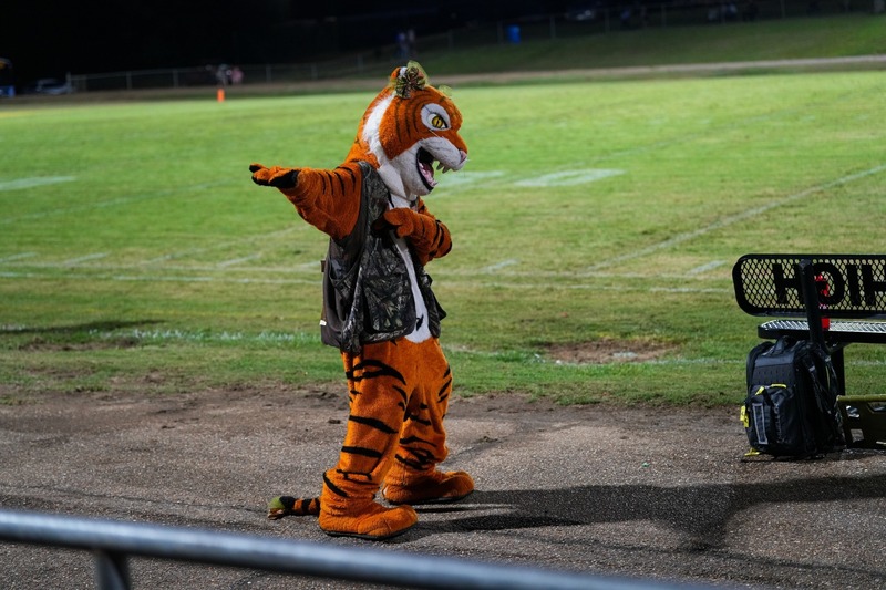 Tiger mascot dancing