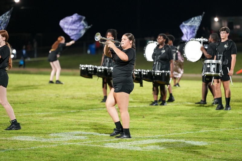 Marching band during field show