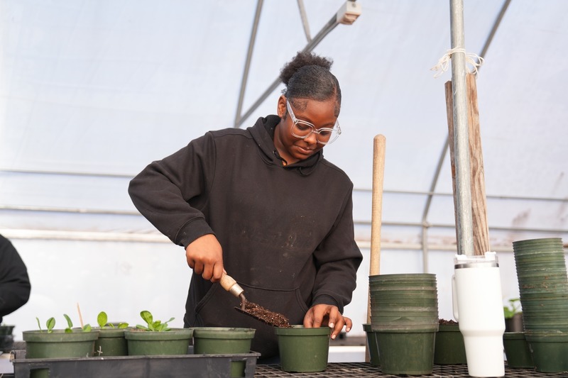 A student is placing soil in a flower pot.