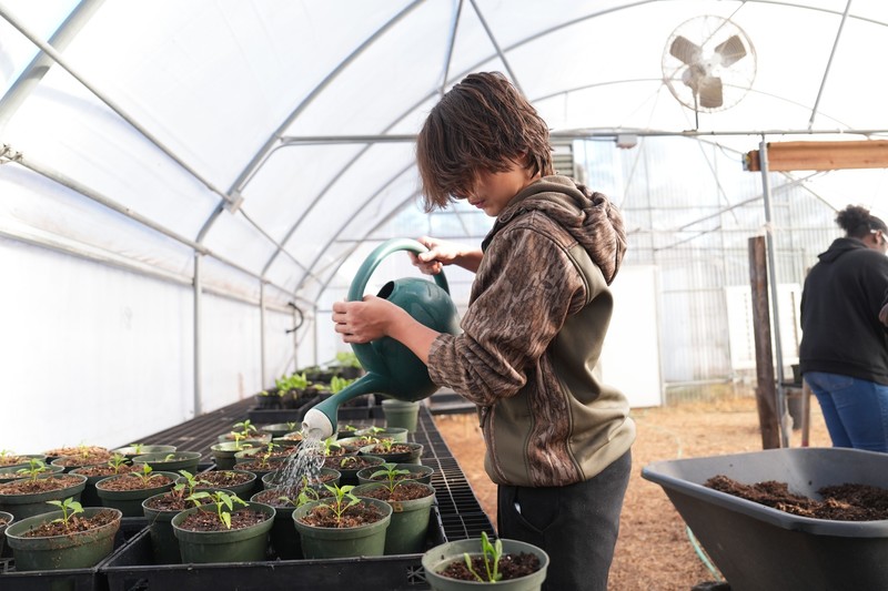 A student is watering flowers