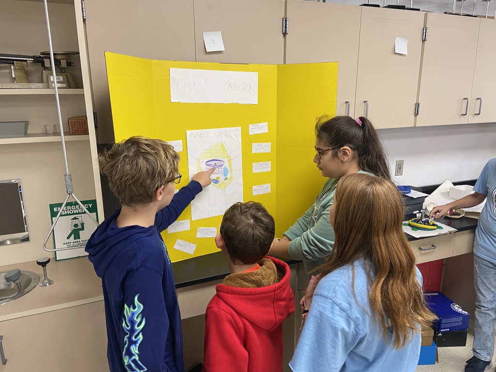 6th Grade Science Fair