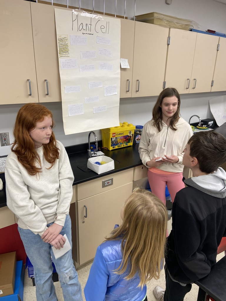 6th Grade Science Fair