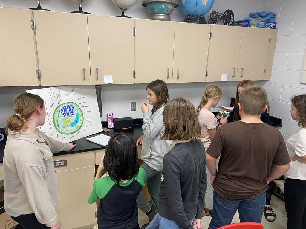 6th Grade Science Fair