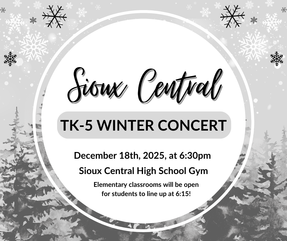 Elementary Music Concert Poster
