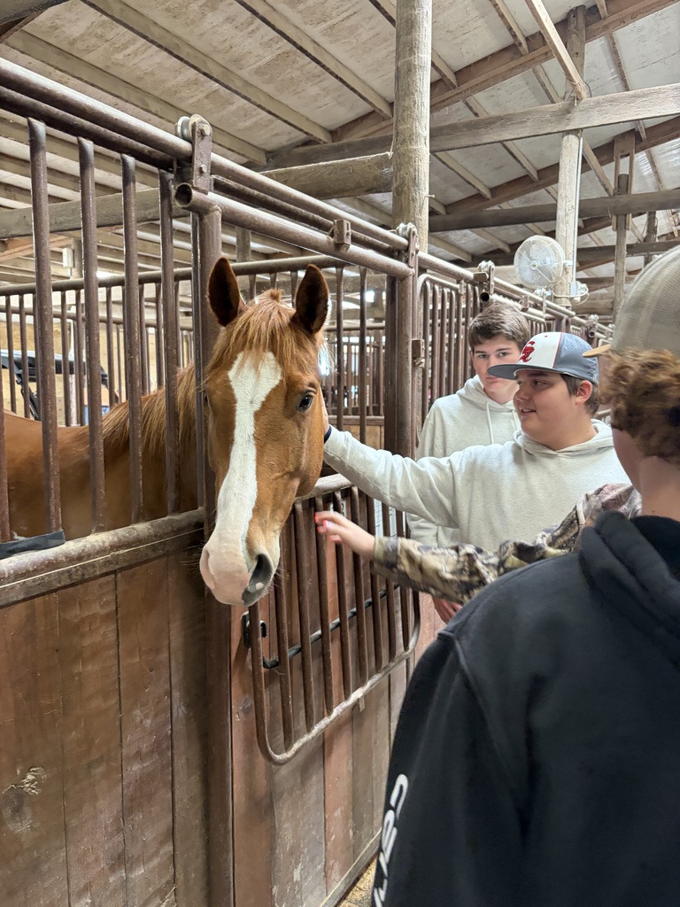 Students petting horse