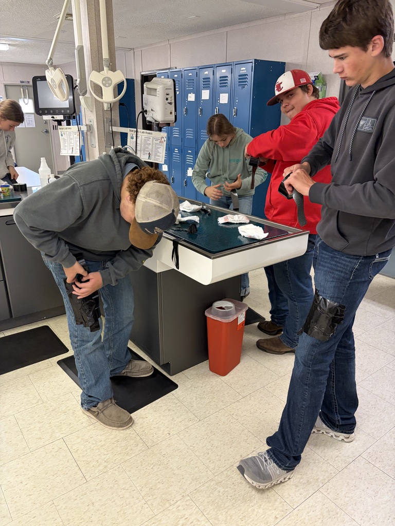 students learning