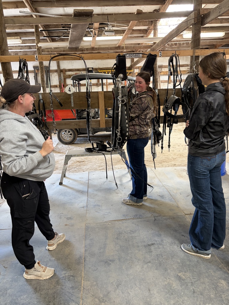 Students in horsebarn