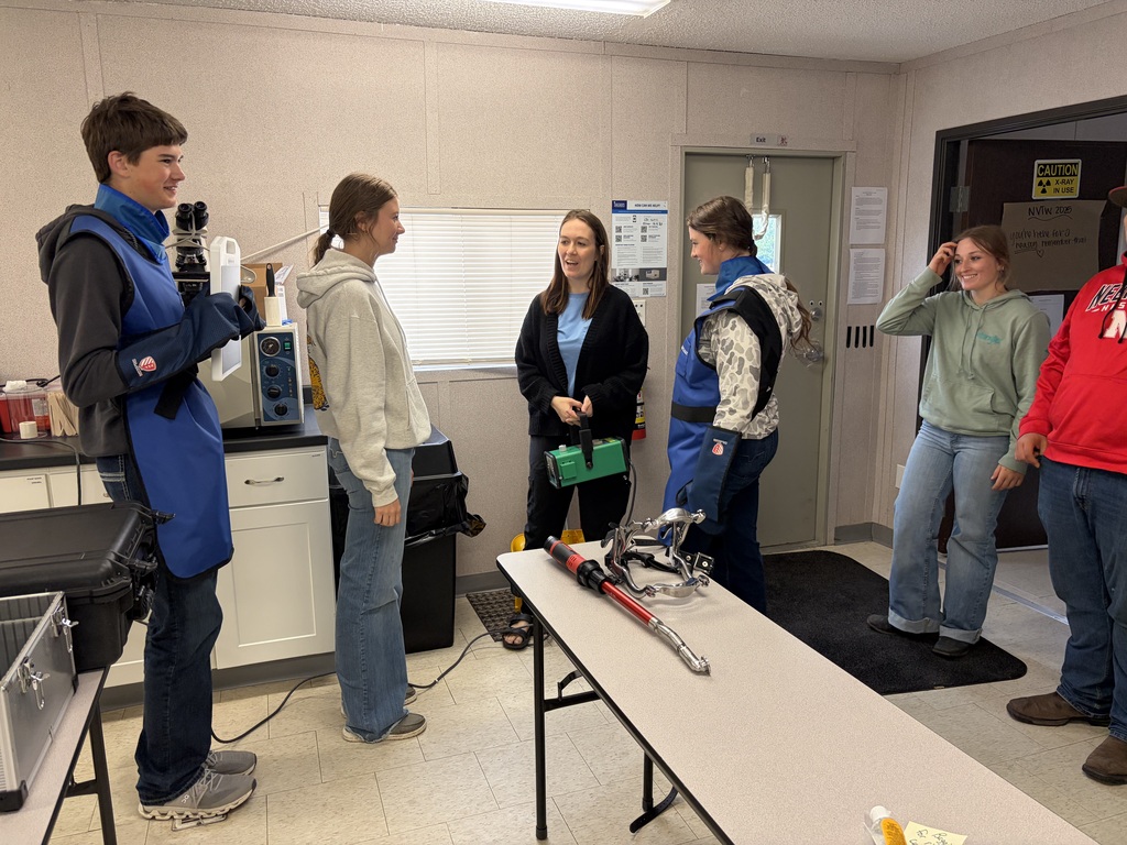 students learning