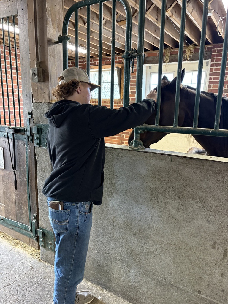 Student petting horse