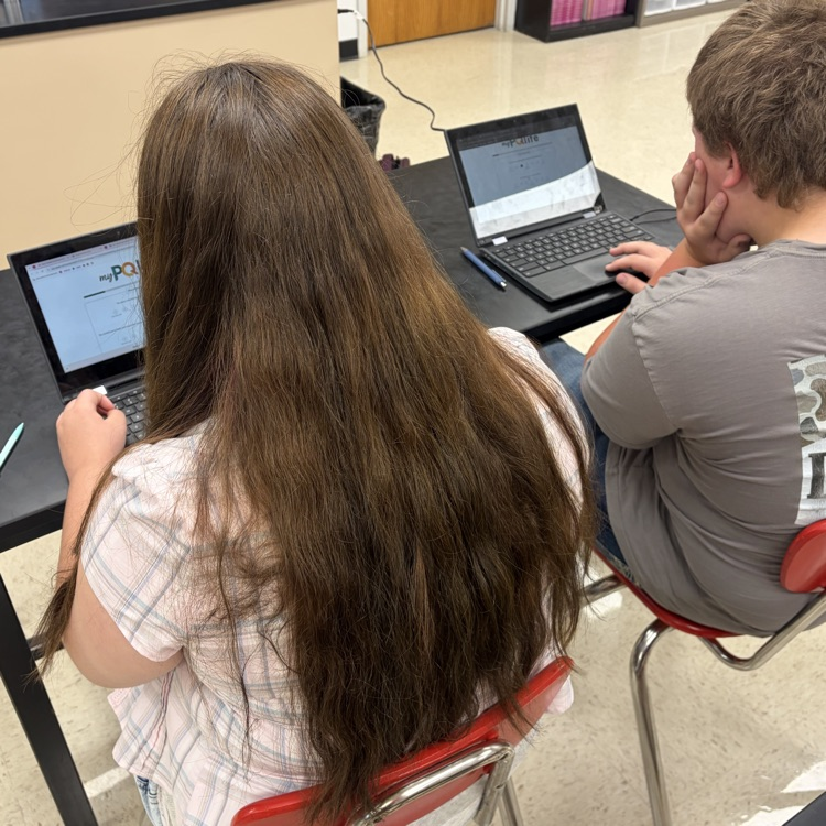 Students taking their PQlife personal profile assessment.