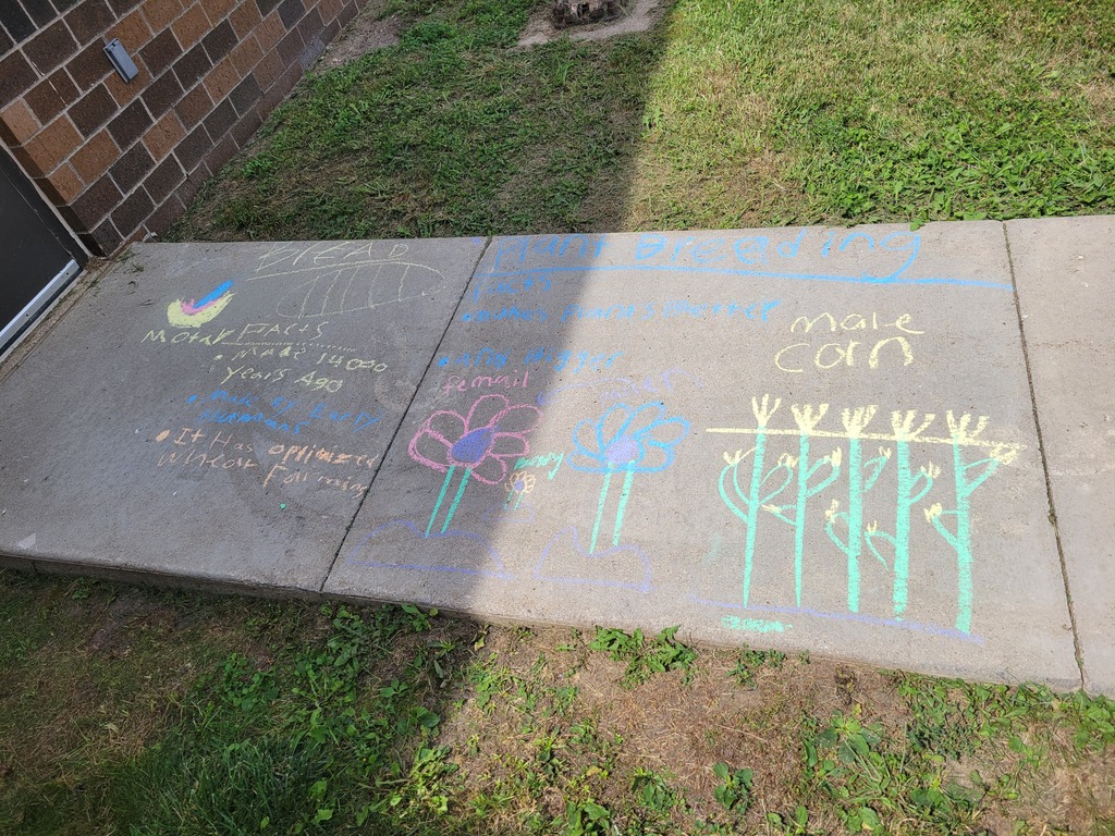 Sidewalk chalk