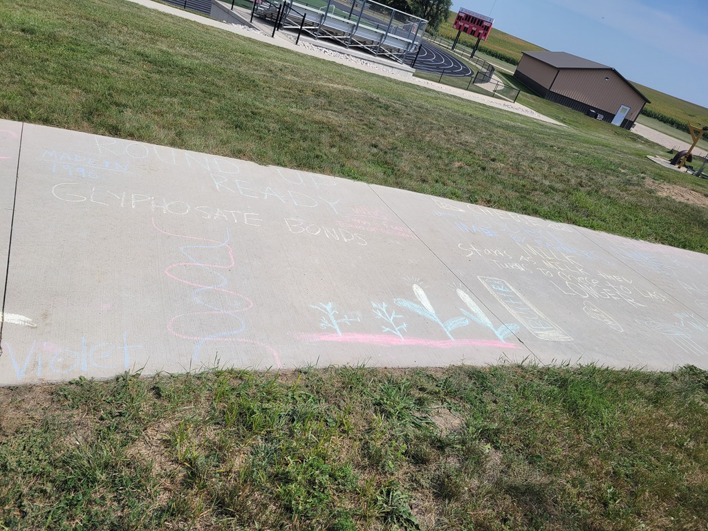 sidewalk chalk