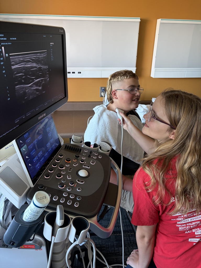 Students learning about Sonography