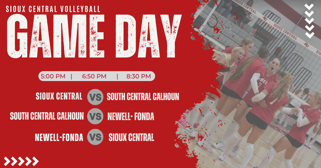 volleyball game information