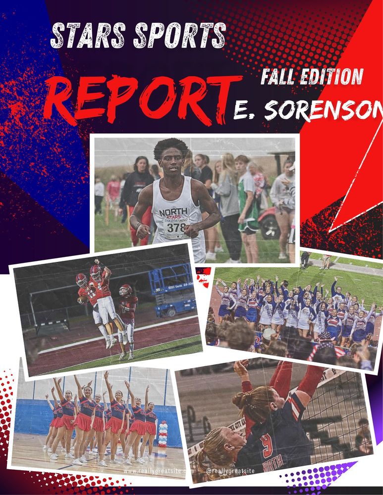 NHS Sport Report