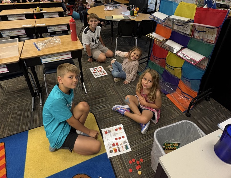 Pbis buddy rooms 