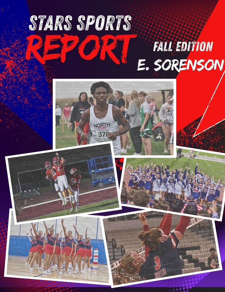 NHS Sport Report