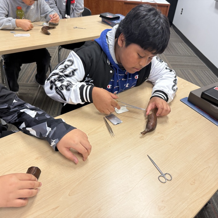 Suturing 2