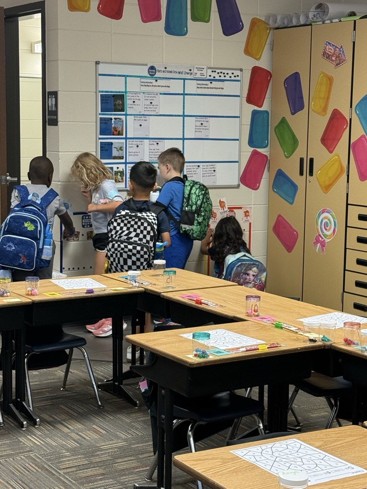 morning check-in, pause, and regulation routine