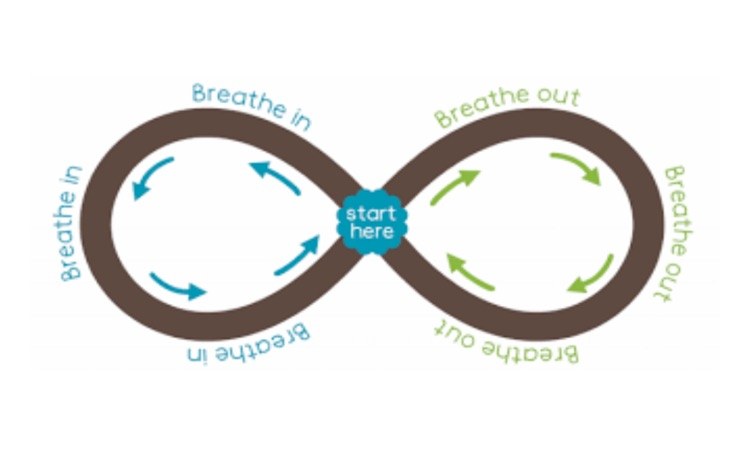 morning check-in, pause, and regulation routine