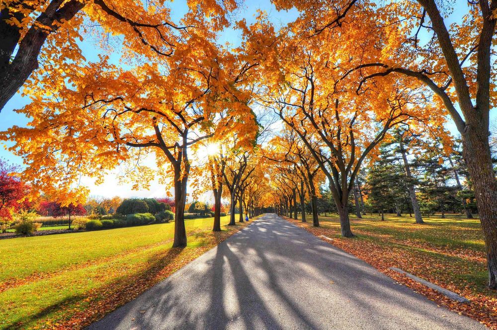October Newsletter