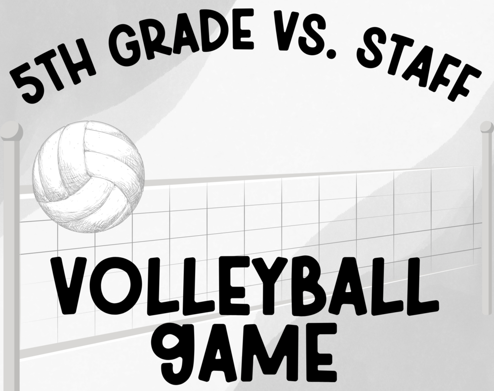 Volleyball Game