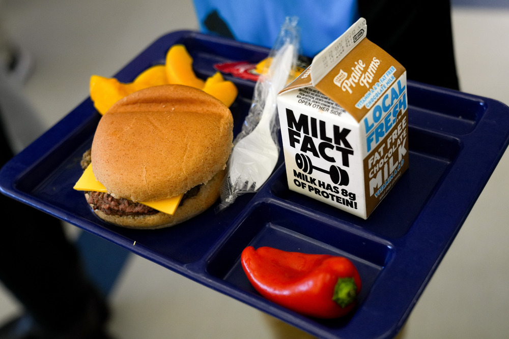 A school lunch on a blue tray with a carton of chocolate milk, a small red pepper, peaches, and a cheeseburger. 
