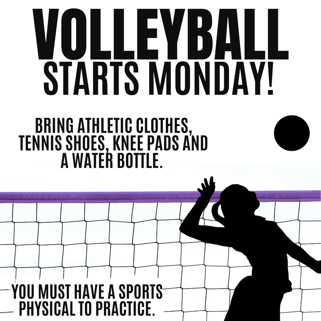 Volleyball