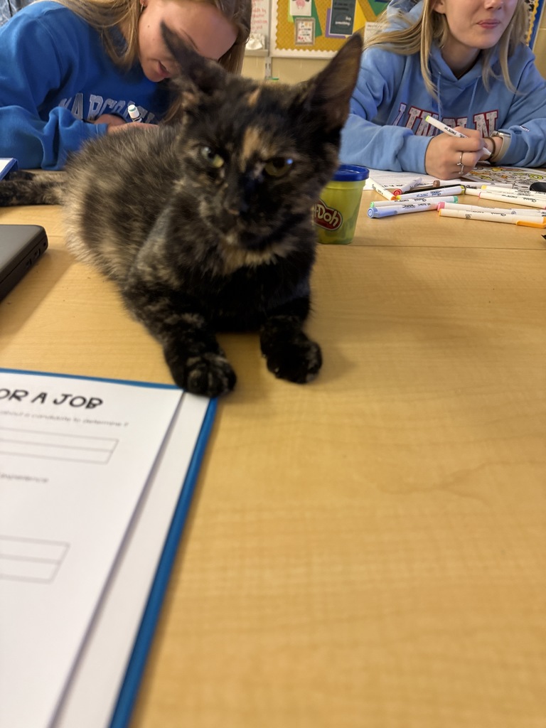 Mama Kitty
