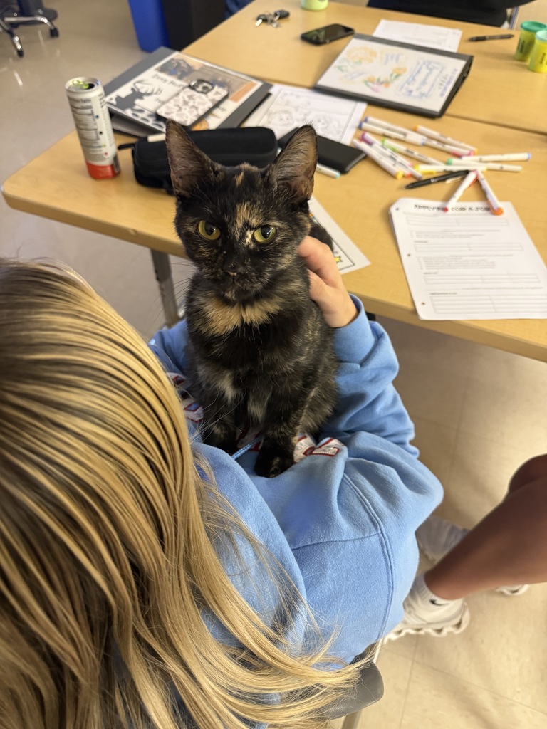 Mama Kitty
