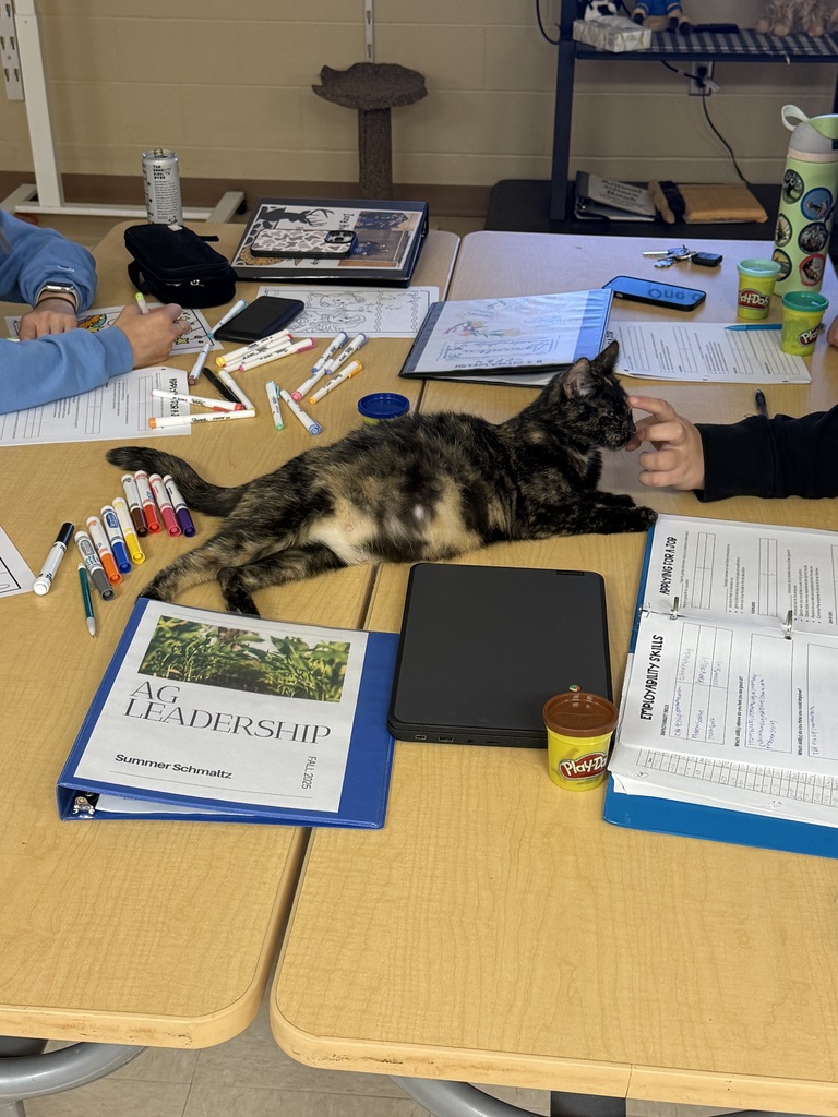 Mama Kitty