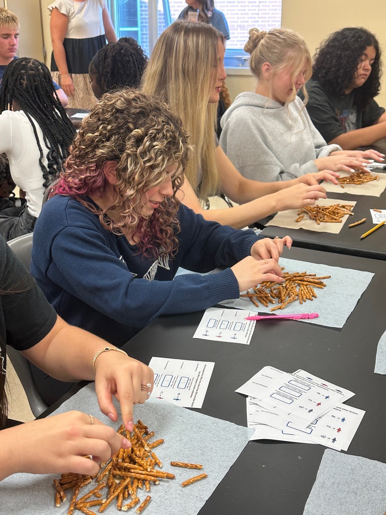 Health Careers I