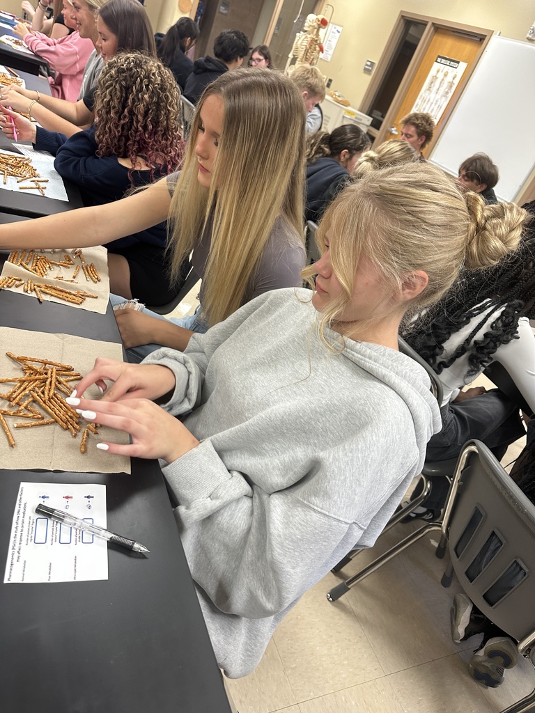 Health Careers I