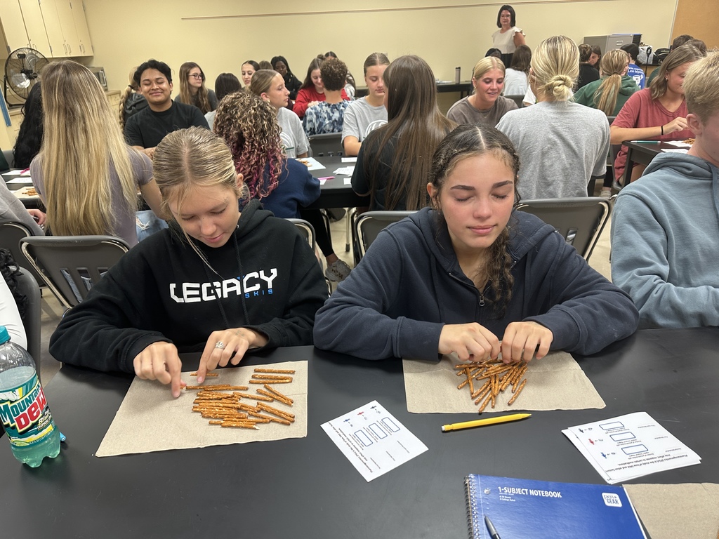 Health Careers I