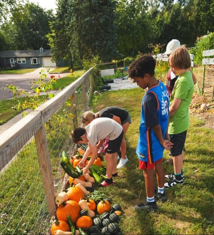 IronFox farm harvest 
