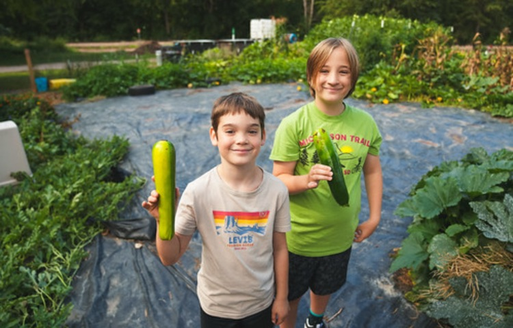IronFox farm harvest 