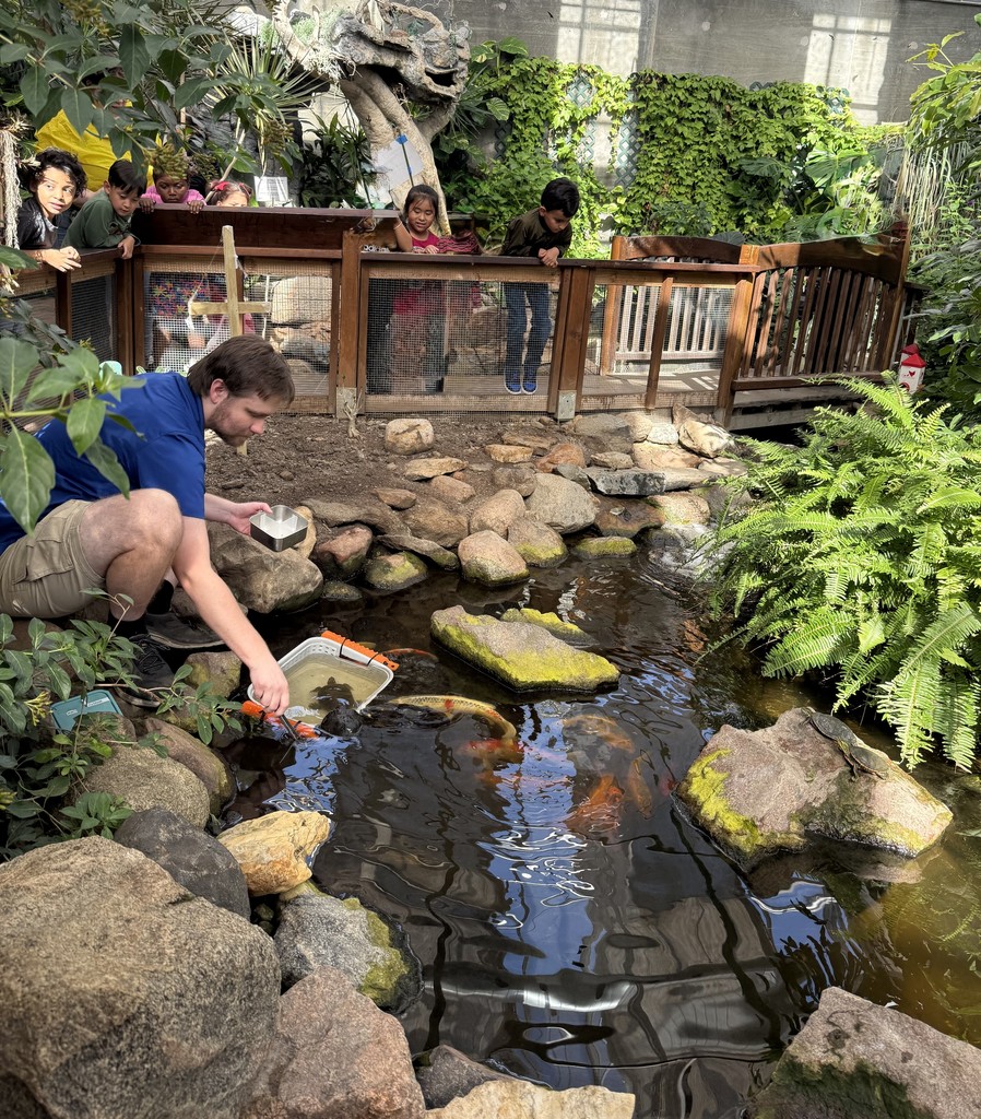 butterfly house