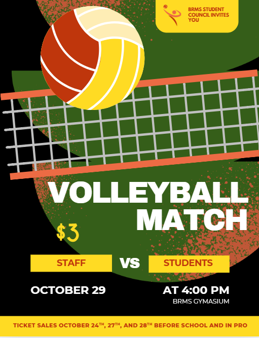 volleyball match