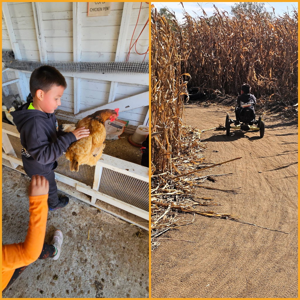 Our Farm