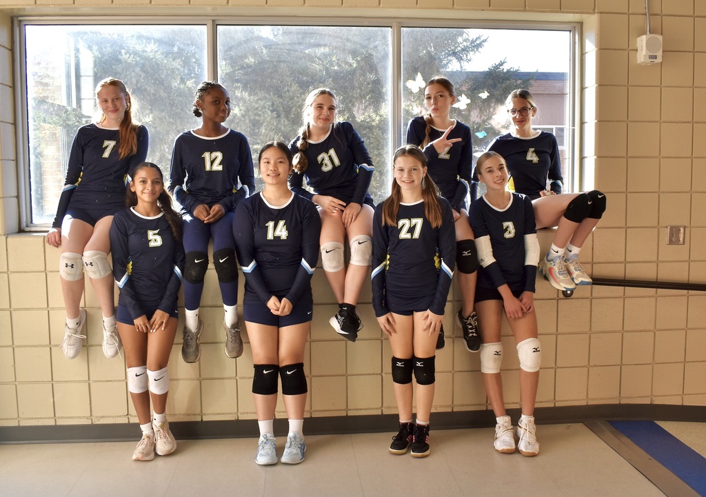 vball
