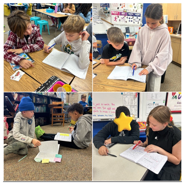 5th grade peer editing