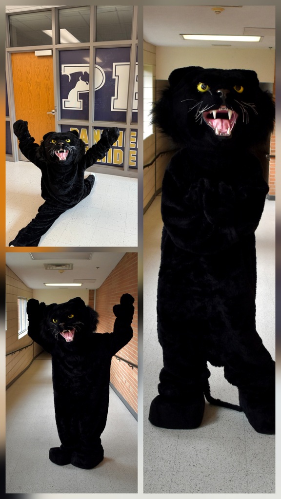 Panther Mascot
