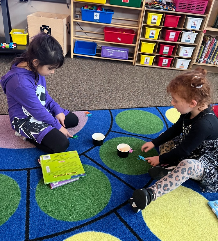 two students trying to get a toy frog into a cup